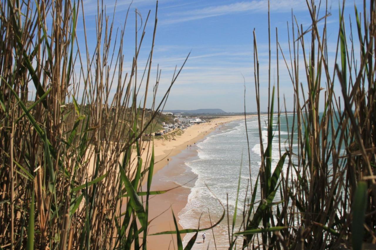 Estudio En El Centro De Conil Conil De La Frontera Ngoại thất bức ảnh