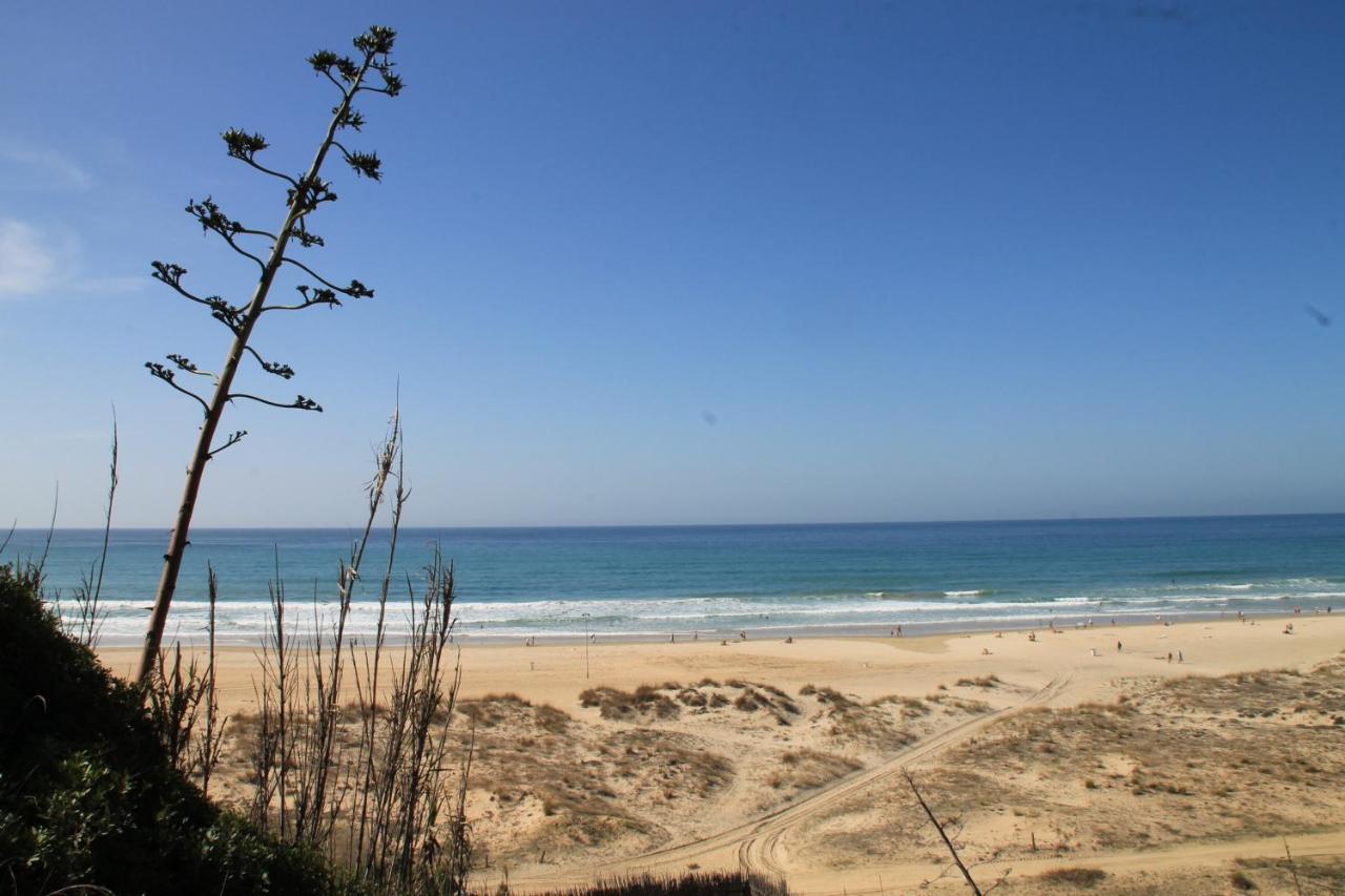 Estudio En El Centro De Conil Conil De La Frontera Ngoại thất bức ảnh