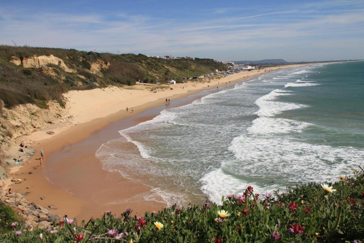Estudio En El Centro De Conil Conil De La Frontera Ngoại thất bức ảnh